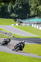 Middle Group Black Bikes
